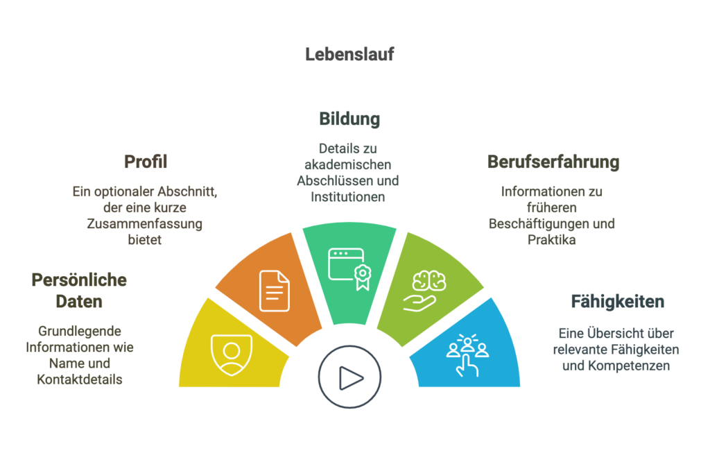 Lebenlauf Inhalte und Struktur